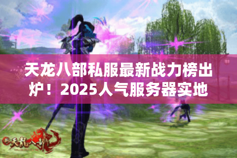 天龙八部私服最新战力榜出炉！2025人气服务器实地测评