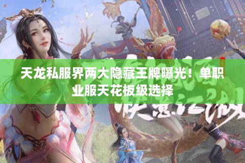 天龙私服界两大隐藏王牌曝光！单职业服天花板级选择