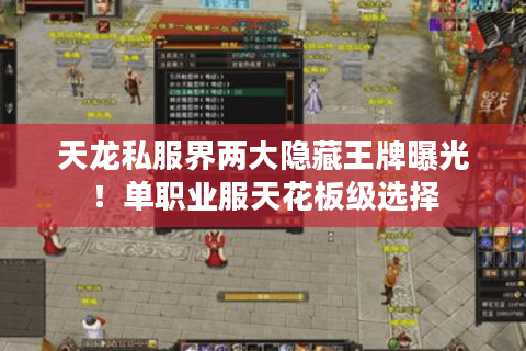 天龙私服界两大隐藏王牌曝光！单职业服天花板级选择