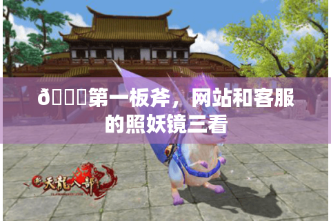 🔍第一板斧，网站和客服的照妖镜三看